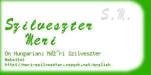 szilveszter meri business card